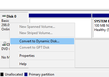 convert disk dyanmic